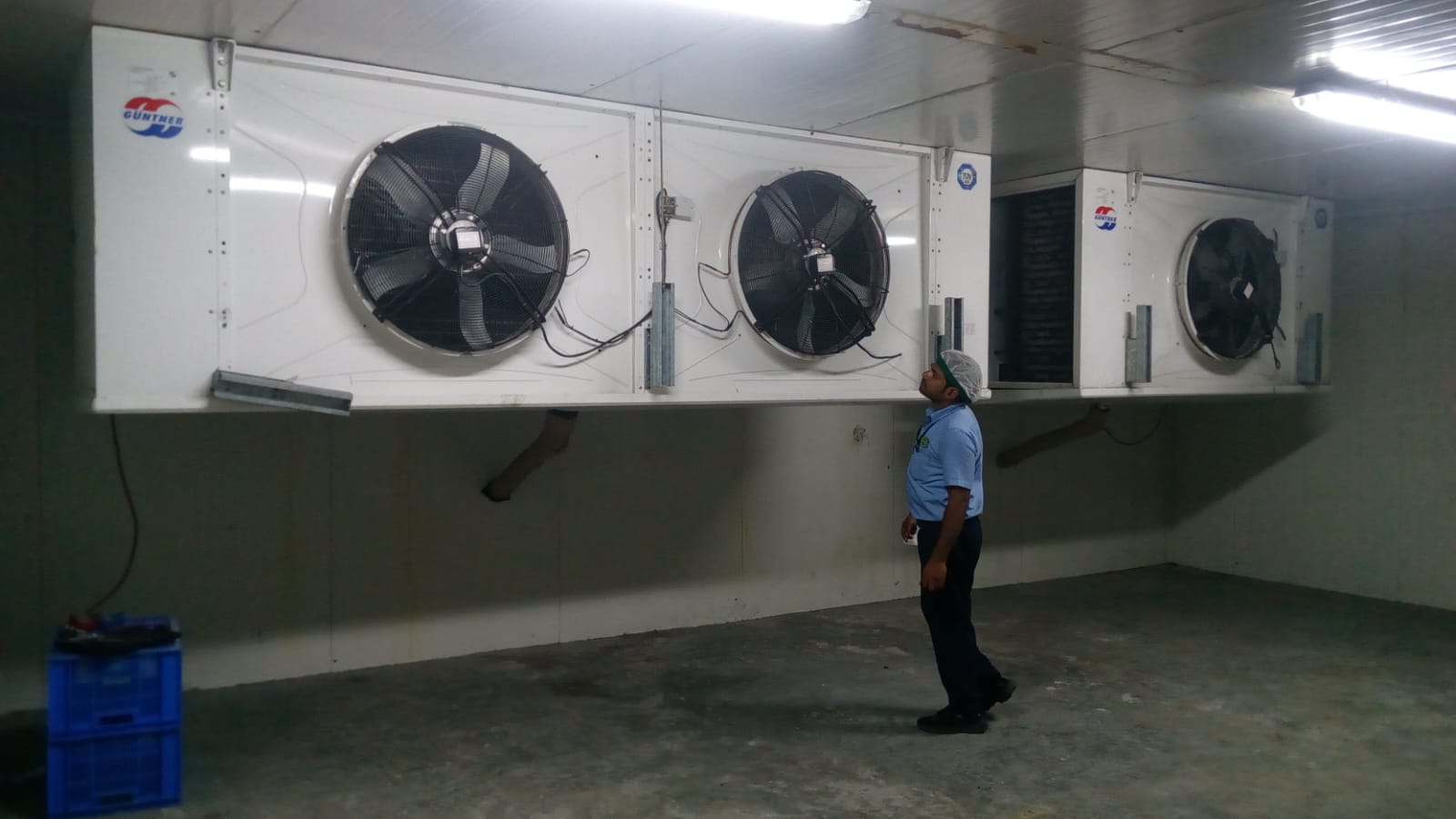 Cold Rooms and Blast Freezer — Güntner Evaporators