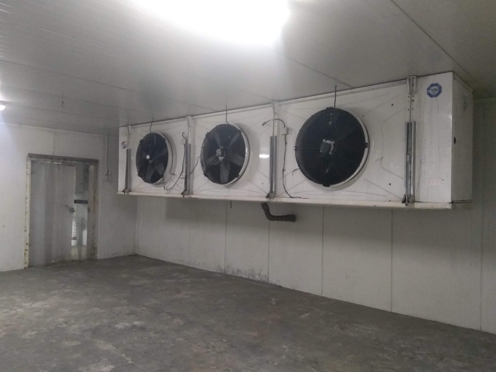 Cold room interior with ceiling evaporators and PVC strip curtain door after commissioning