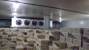 Industrial Cold Storage Room - 100 TR